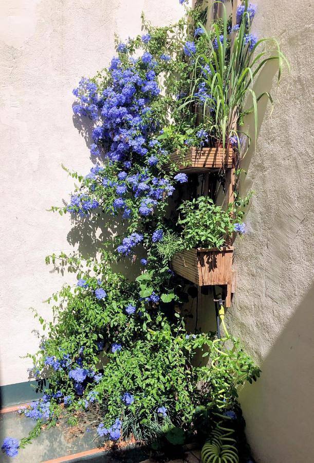 Gîte pour 2 personnes, avec jardin à Paulhan (Hérault) - 4