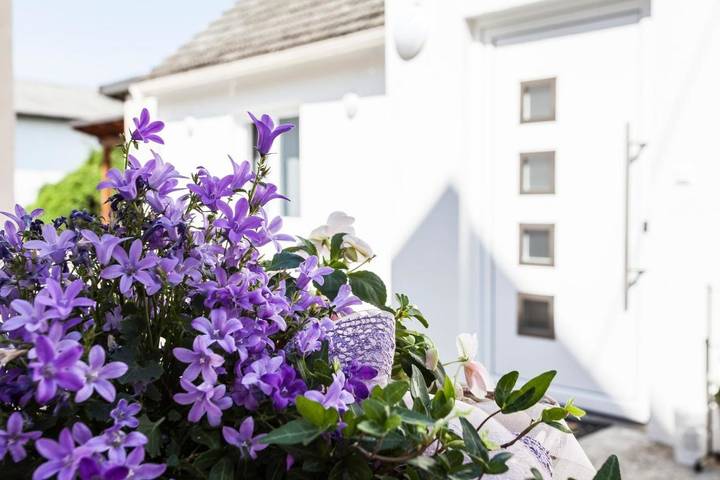 Location de vacances pour 9 personnes, avec vue et jardin, animaux acceptés à Illmitz - 2