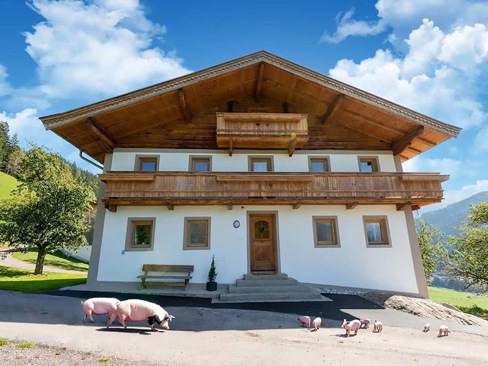 Ferienhaus für 12 Personen, mit Balkon und Garten sowie Ausblick in Bramberg am Wildkogel - 2