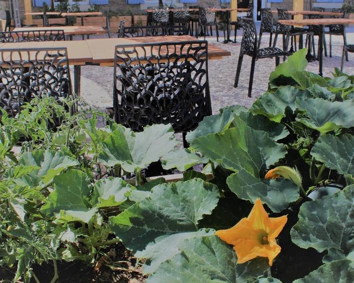 Hôtel pour 3 personnes, avec Terrasse et Jardin dans Salin-de-Giraud