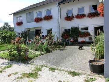 Ferienwohnung für 4 Personen in Blankenrath, Moseleifel, Bild 3