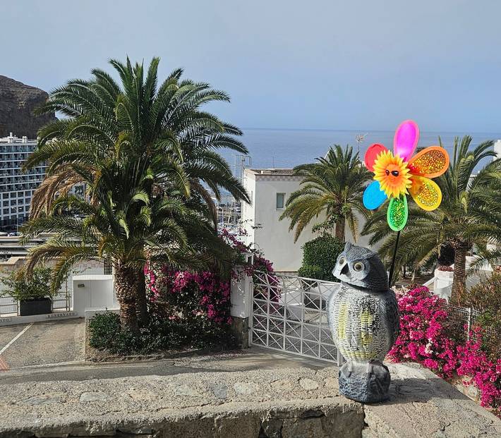 Entire apartment, Holiday Apartment 'Casa Los Veleros F2' with Sea View, Shared Pool and Wi-Fi in Puerto Rico (Gran Canaria), Mogán