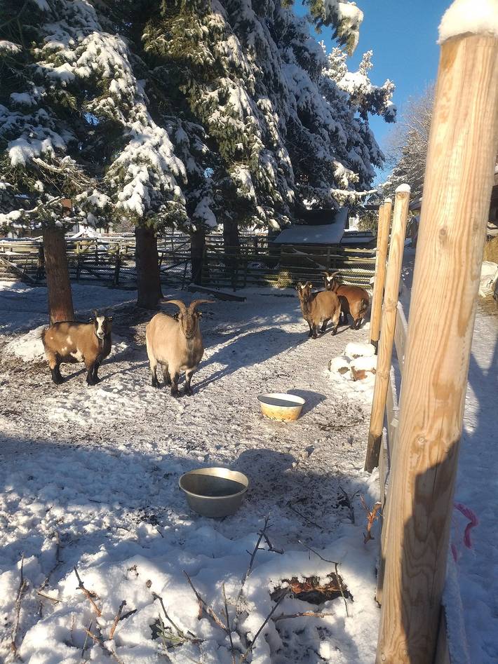 Ferienwohnung für 4 Personen, mit Terrasse und Garten in Friedrichsbrunn - 3