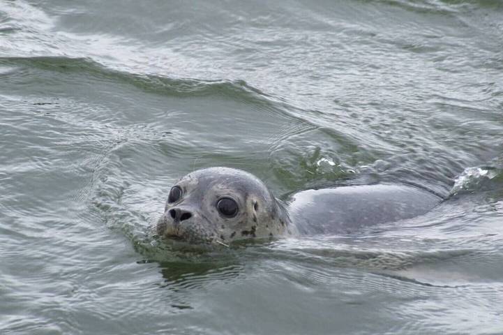 Ferienwohnung für 4 Personen, mit Balkon
