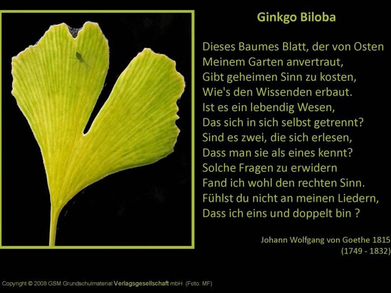 Ganze Ferienwohnung, Fewo Ginkgo, Wohnung 1 im Landhaus Ostseeblick in Bastorf, Neubukow-Salzhaff