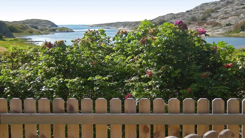 Ferienhaus für 10 Personen, mit Terrasse in Westküste (Schweden) - 4