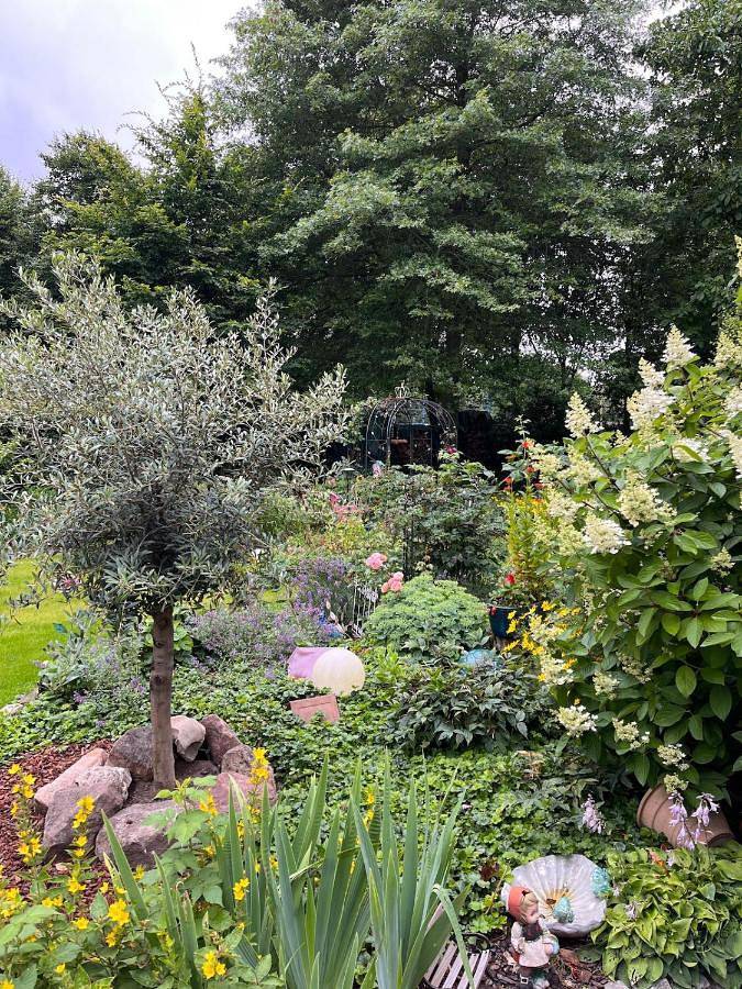Ferienhaus für 12 Personen, mit Balkon und Whirlpool sowie Terrasse und Garten in Saterland - 4