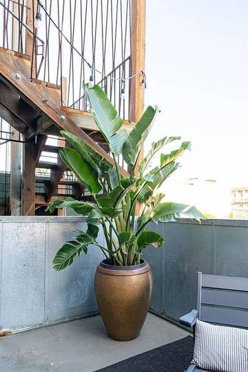 Loft for 2 Guests in San Diego, San Diego County, Picture 3