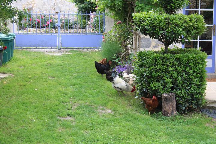 Location de vacances pour 2 personnes, avec jardin et piscine en Charente - 4
