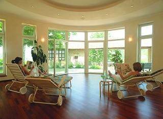 Hôtel pour 3 personnes, avec terrasse ainsi que sauna et jardin, animaux acceptés à Bollendorf - 4