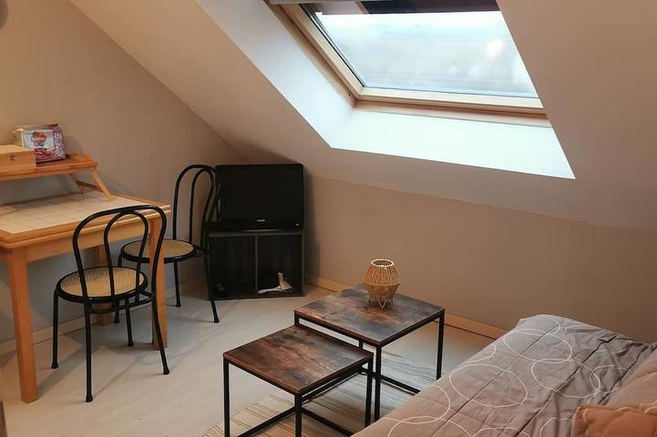 Gîte pour 3 personnes, animaux acceptés à Blain (homonymie) - 4