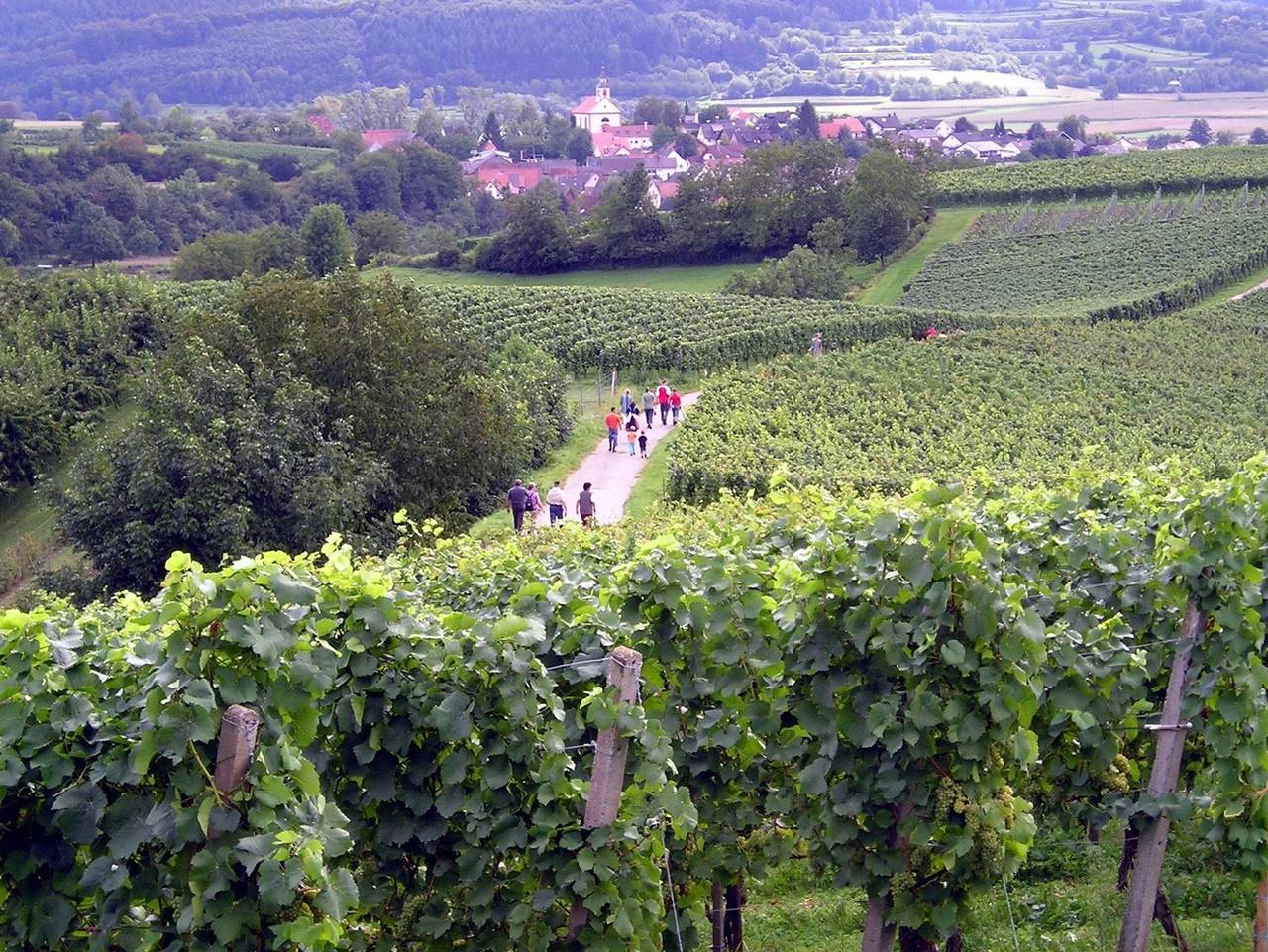 Ganze Ferienwohnung, Ferienwohnung Storchenblick - Ferienwohnung 87qm in Herbolzheim, Südschwarzwald