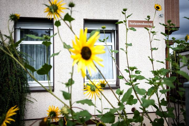 Ganze Ferienwohnung, Ferienwohnung "Helianthus" - Fw mit 1 Wohnr., 1 Schlafr., Küche, Bad m. Du, Eg, 1-3 P., 55 m² in Arnstadt (Thüringen), Arnstadt