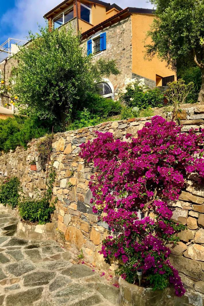 Gîte pour 4 personnes, avec Terrasse ainsi que Jardin et Vue à Diano San Pietro - 2
