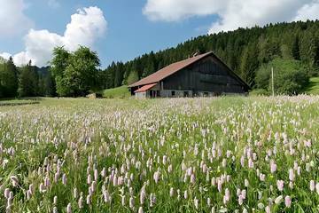 Cottage pour 5 personnes, avec jardin, animaux acceptés dans Parc naturel régional du Doubs Horloger