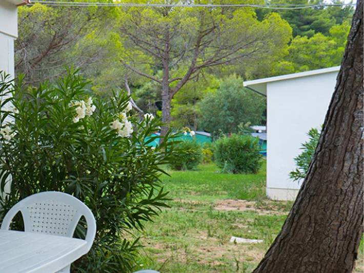 Camping für 4 Personen, mit Haustier in Apulien - 4