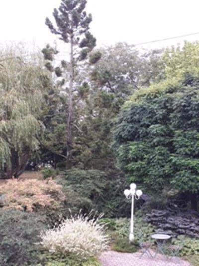 Gîte pour 6 personnes, avec jardin, animaux acceptés en Cotes-d'Armor - 3