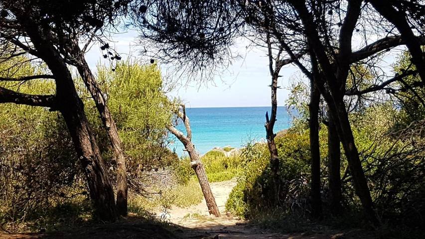 Ferienhaus für 6 Personen, mit Ausblick und Garten, mit Haustier