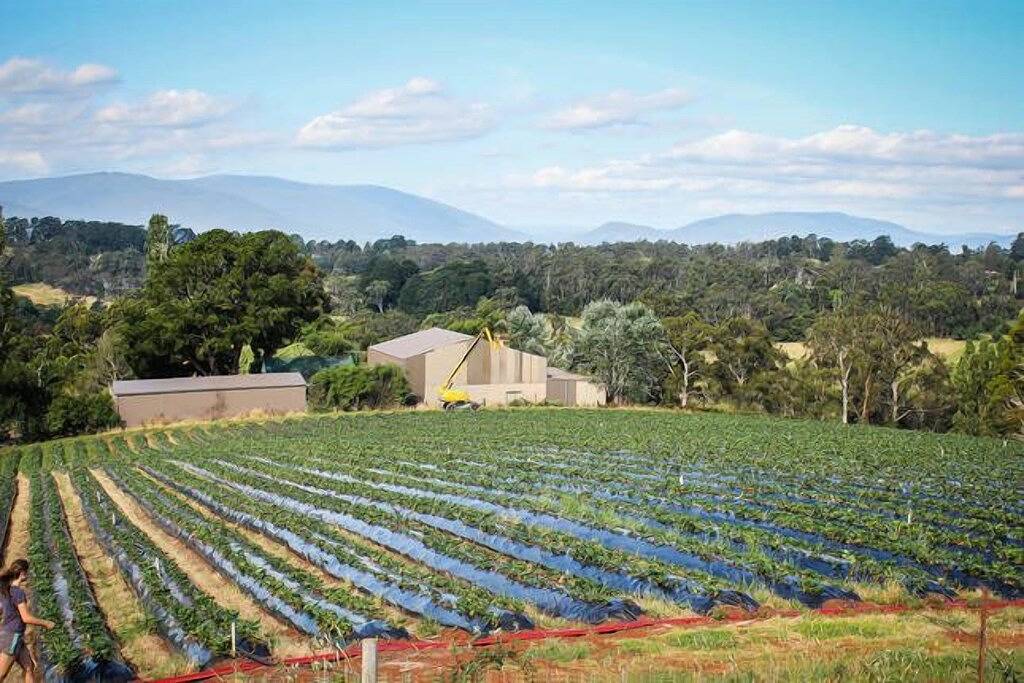 Agriturismo for 8 People in Monbulk, Shire of Yarra Ranges