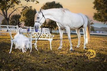 Barn for 2 Guests in North Carolina, USA, Picture 3