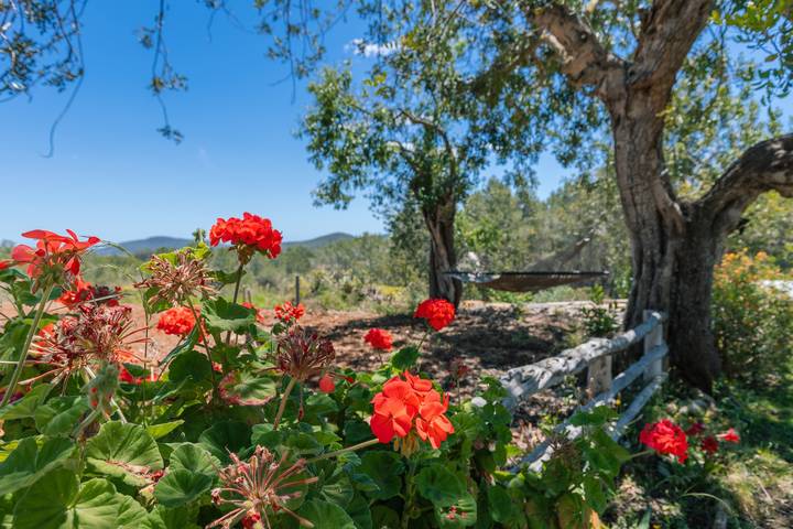 Charming Ibizan Finca with Pool in Santa Gertrudis for 10 Guests in Sant Joan de Labritja, Nordlige Ibiza