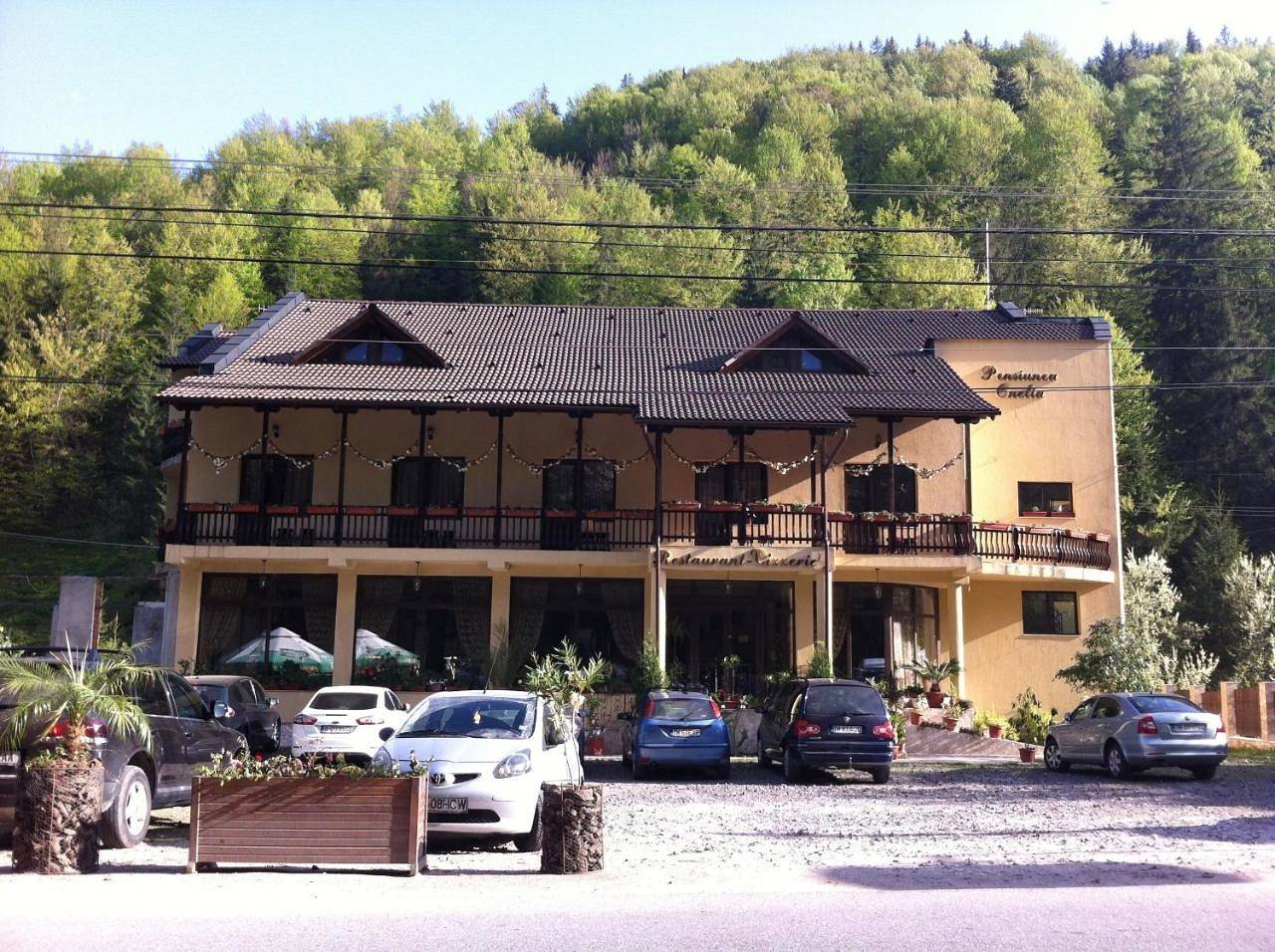 Pension Onelia in Alba (Romania)