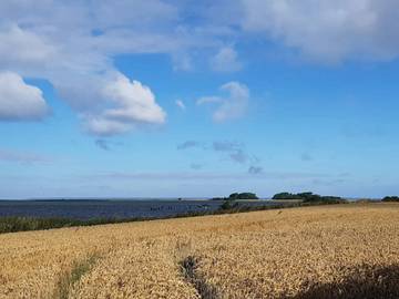 Bauernhof für 4 Personen in Bogense, Nord Fünen, Bild 2