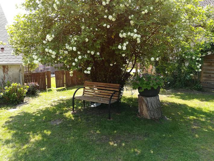 Gîte pour 5 personnes, avec terrasse et jardin ainsi que jacuzzi et sauna dans Loiret - 4