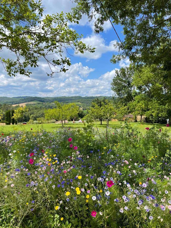 Location de vacances pour 10 personnes, avec jardin ainsi que vue et piscine à Soturac - 4