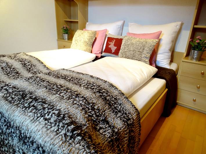 Ganze Wohnung, "App 2-4 Personen" in der Ferienwohnung Haus Alpenjuwel in der Nähe mehrerer Skigebiete in Tuxer Alpen, Hippach