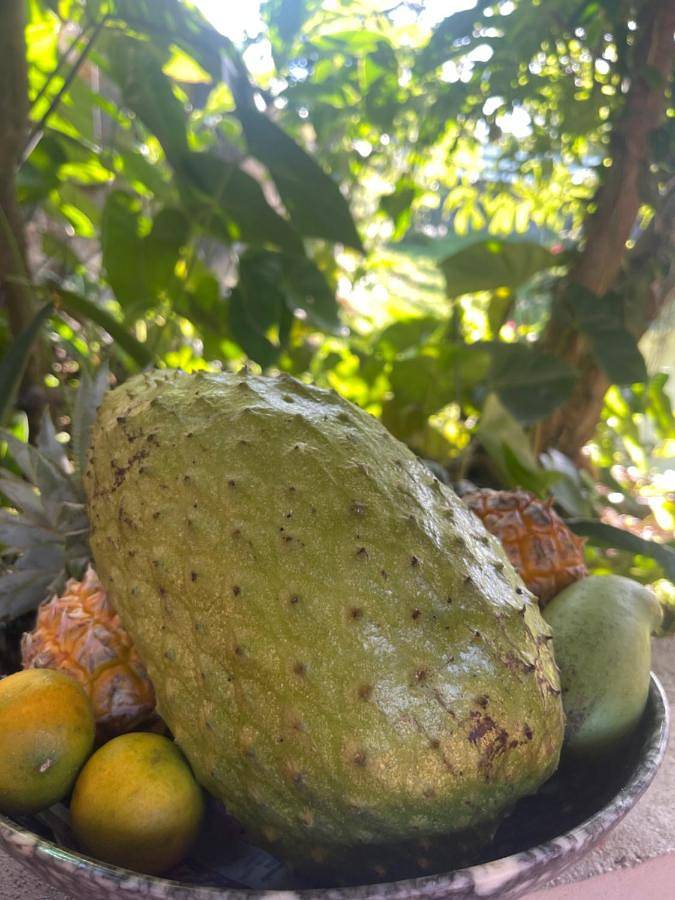 Chambre d’hôte pour 2 personnes, avec jardin et terrasse dans Piton de la Fournaise - 2
