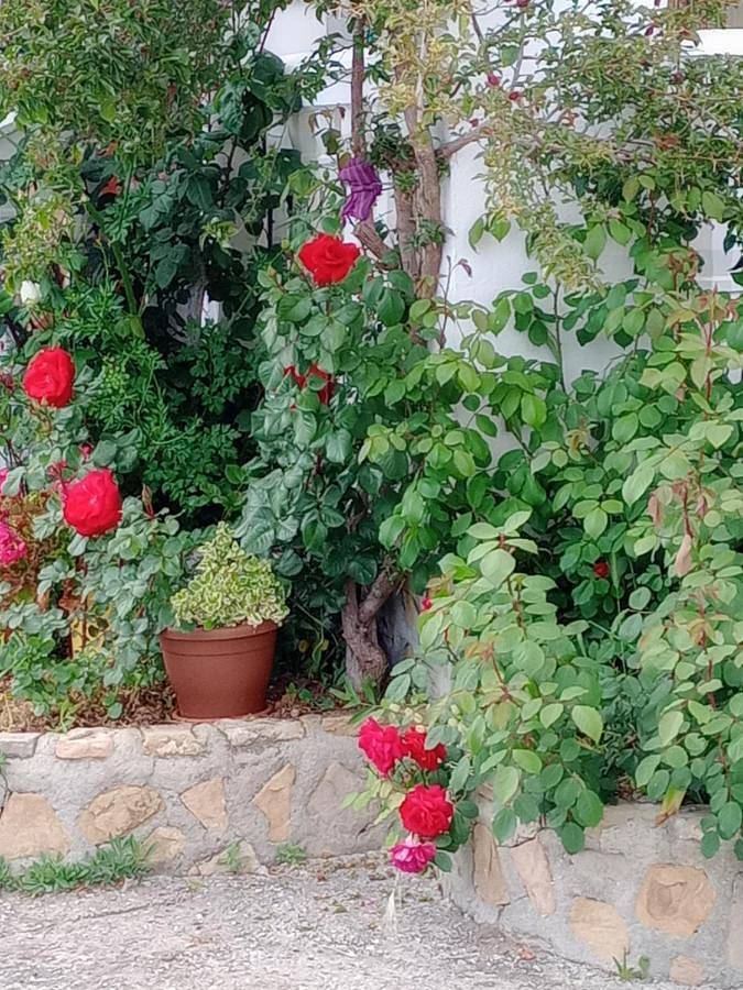 Casa rural para 8 personas, con piscina además de terraza y vistas en Montefrío - 2