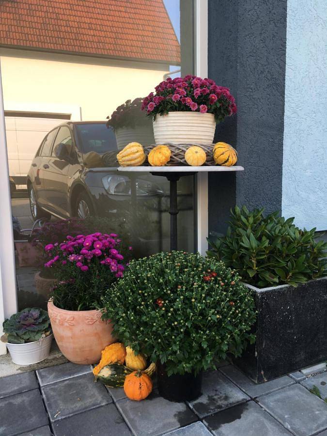 Ganze Wohnung, Wanderlust in Bisingen, Neckar-Alb