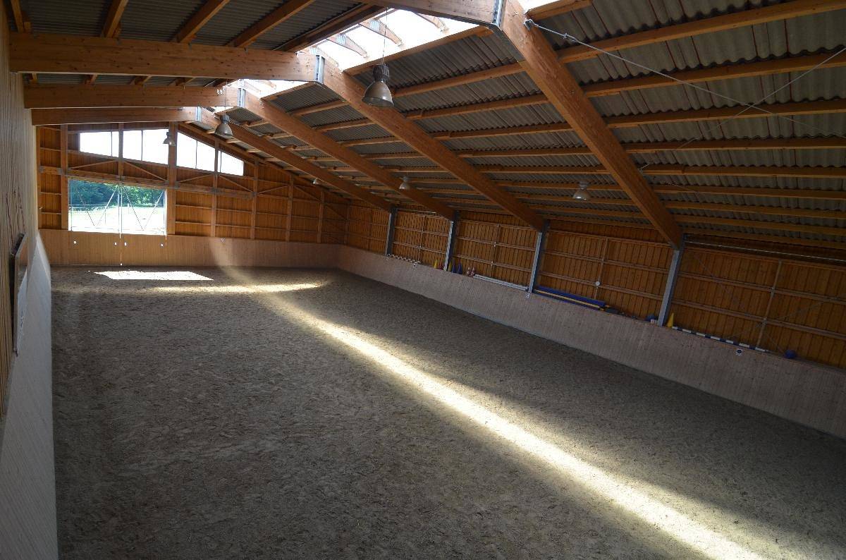 Ganze Wohnung, Reiterhof Hexental - Ferienwohnung 78 qm in Bogen, Ostbayern
