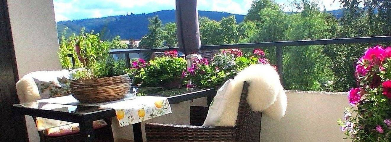 Ferienwohnung für 3 Personen, mit Balkon in Bad Harzburg - 3