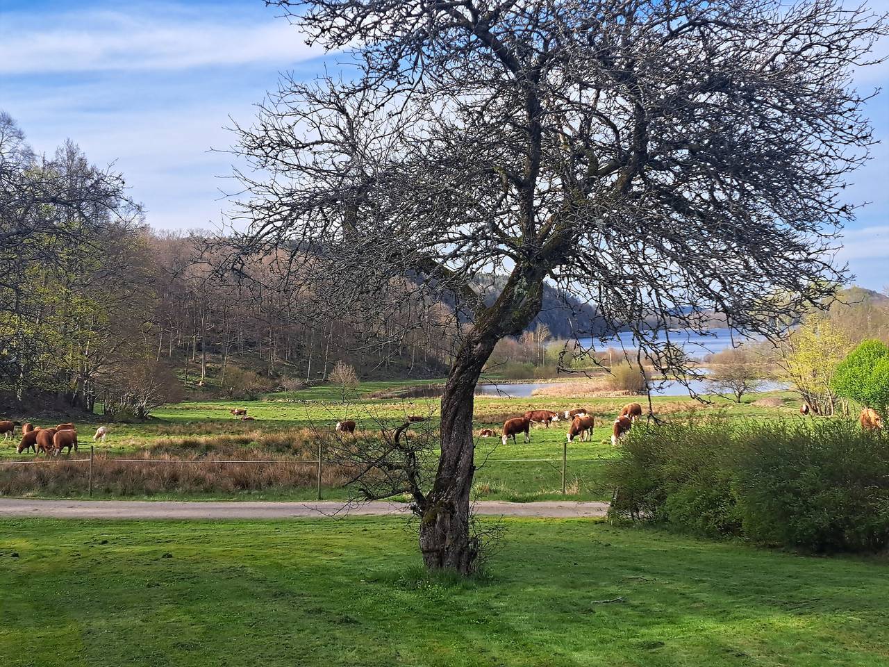 Grosses Ferienhaus am Waldrand und unweit vom See  in Varberg, Halland