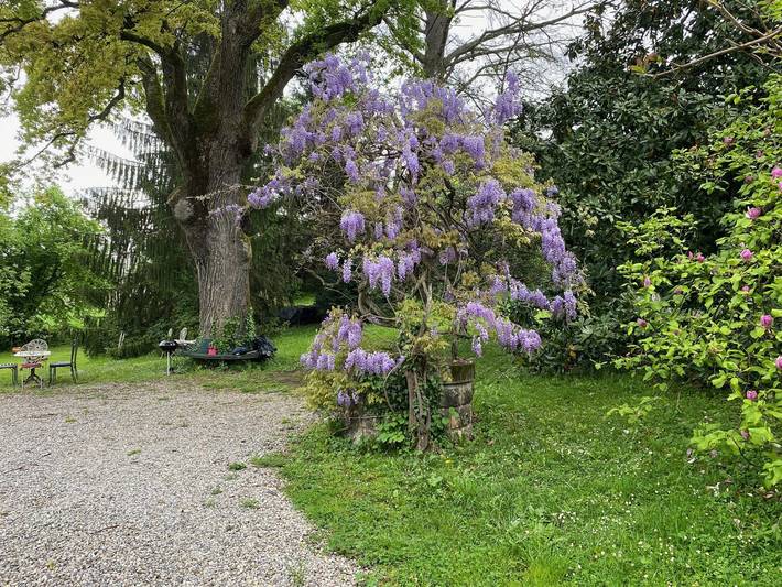 Gîte pour 4 personnes, avec jardin et terrasse à Viviers-du-Lac - 3