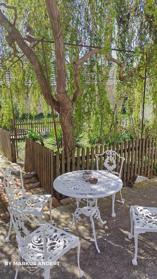 Ferienwohnung für 5 Personen, mit Ausblick und Garten in Illmitz - 3