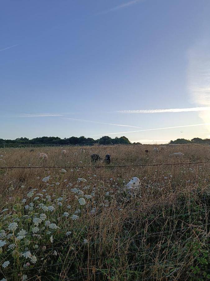 Location de vacances pour 3 personnes, avec piscine ainsi que jardin et vue dans Plage de La Joselière - 3
