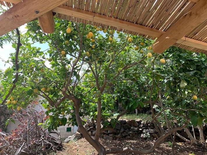 Location de vacances pour 5 personnes, avec Balcon ainsi que Terrasse et Vue à Filicudi - 4