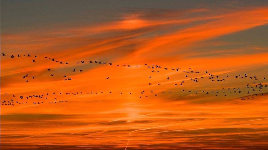 Ferienhaus für 4 Personen, mit Terrasse und Garten sowie Sauna in Putgarten