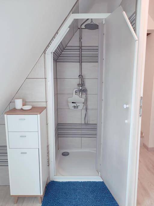 Location de vacances pour 10 personnes, avec balcon à Chouzé-sur-Loire - 3