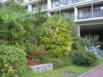 Lodge for 4 People in Muralto, Lake Maggiore (Switzerland), Photo 2