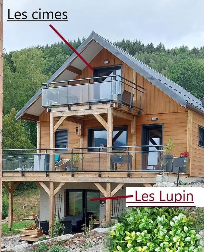 Chalet pour 2 personnes, avec piscine ainsi que jardin et jacuzzi en Alsace - 2