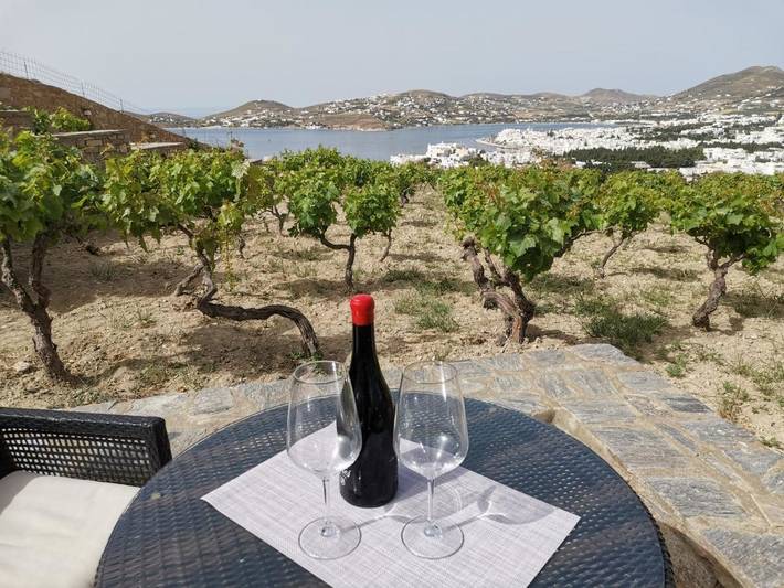 Vakantiehuis voor 3 personen, met uitzicht en tuin - 1