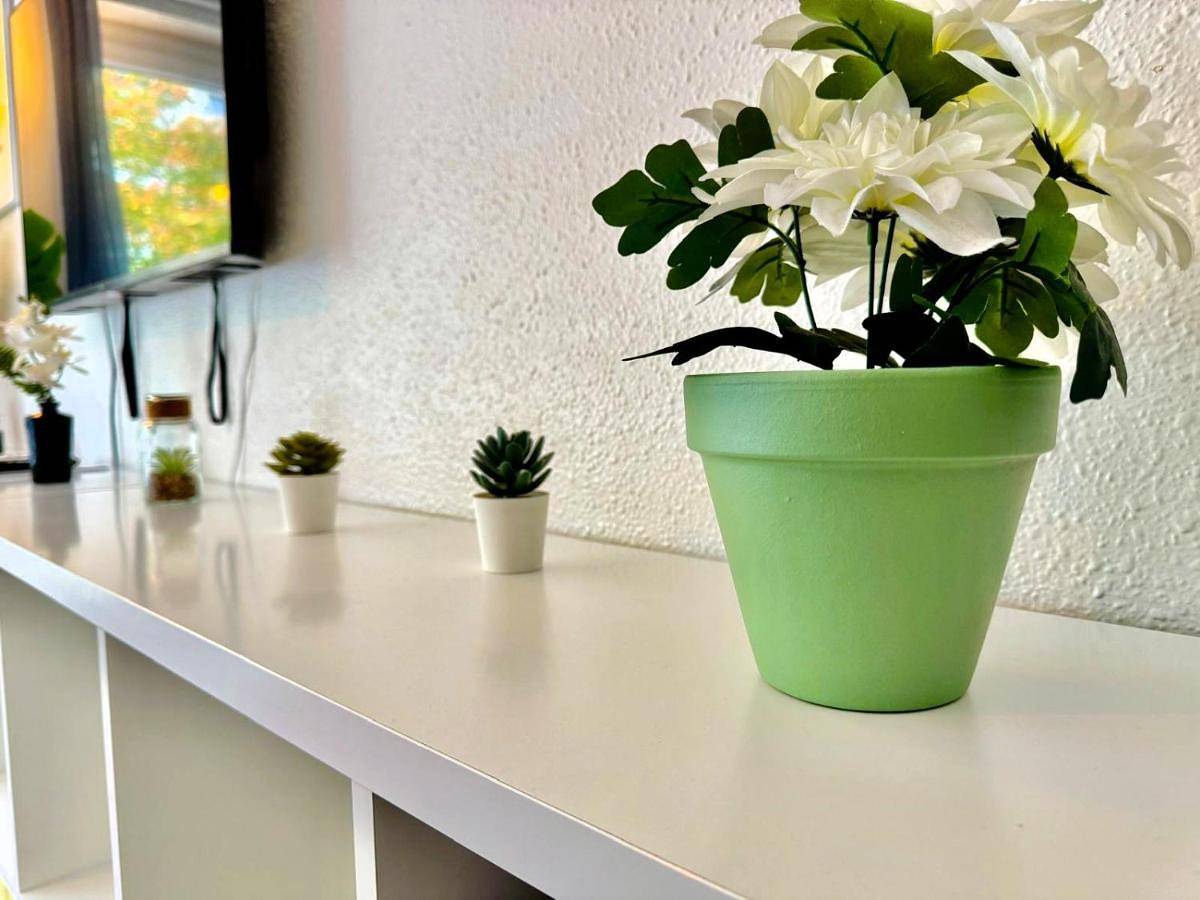 Appartement entier, Appartement Frontalier 1 in Saint-Julien-en-Genevois, Région de Saint-Julien-en-Genevois