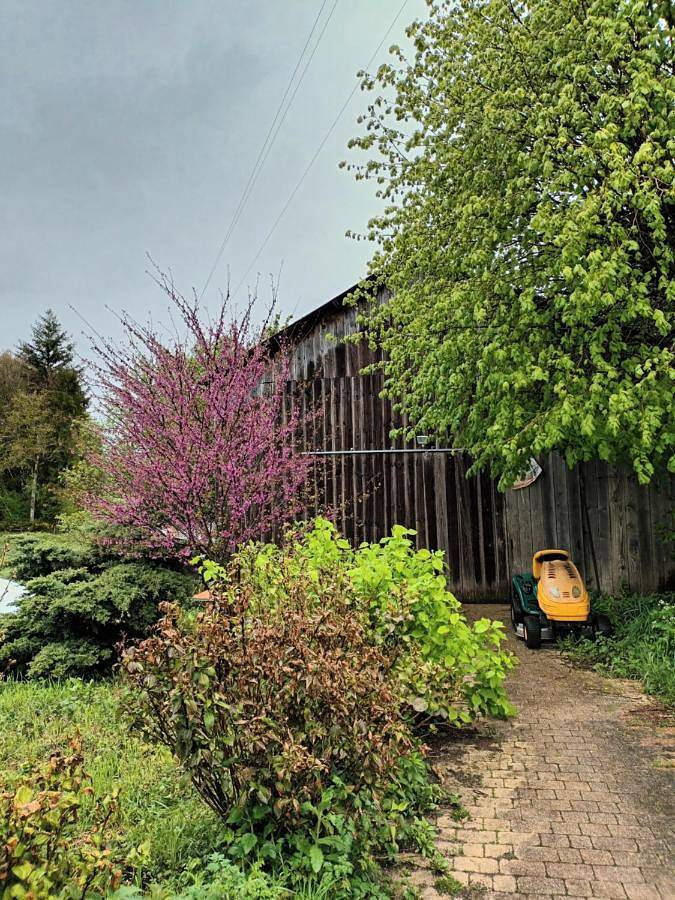 Large Double Room in Neuvic, Région d'Ussel