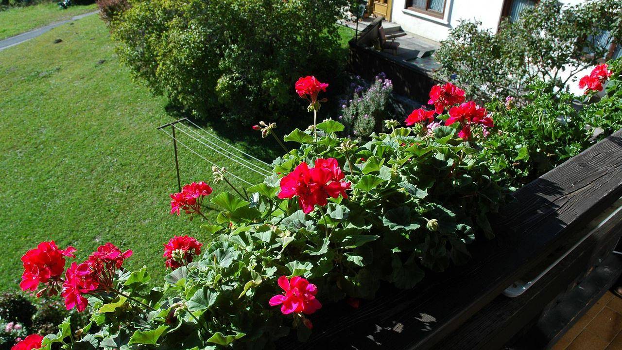 Geheel vakantieappartement, Vakantieappartement voor 4 personen met balkon in Gnesau, Oberkärnten