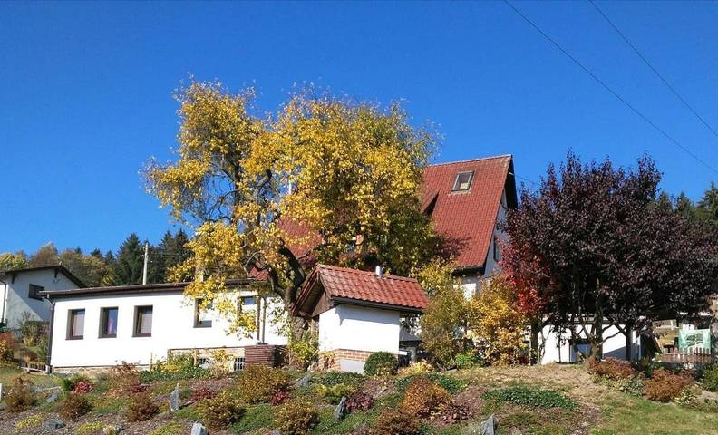 Gîte pour 4 personnes, avec terrasse et jardin à Klingenthal - 2
