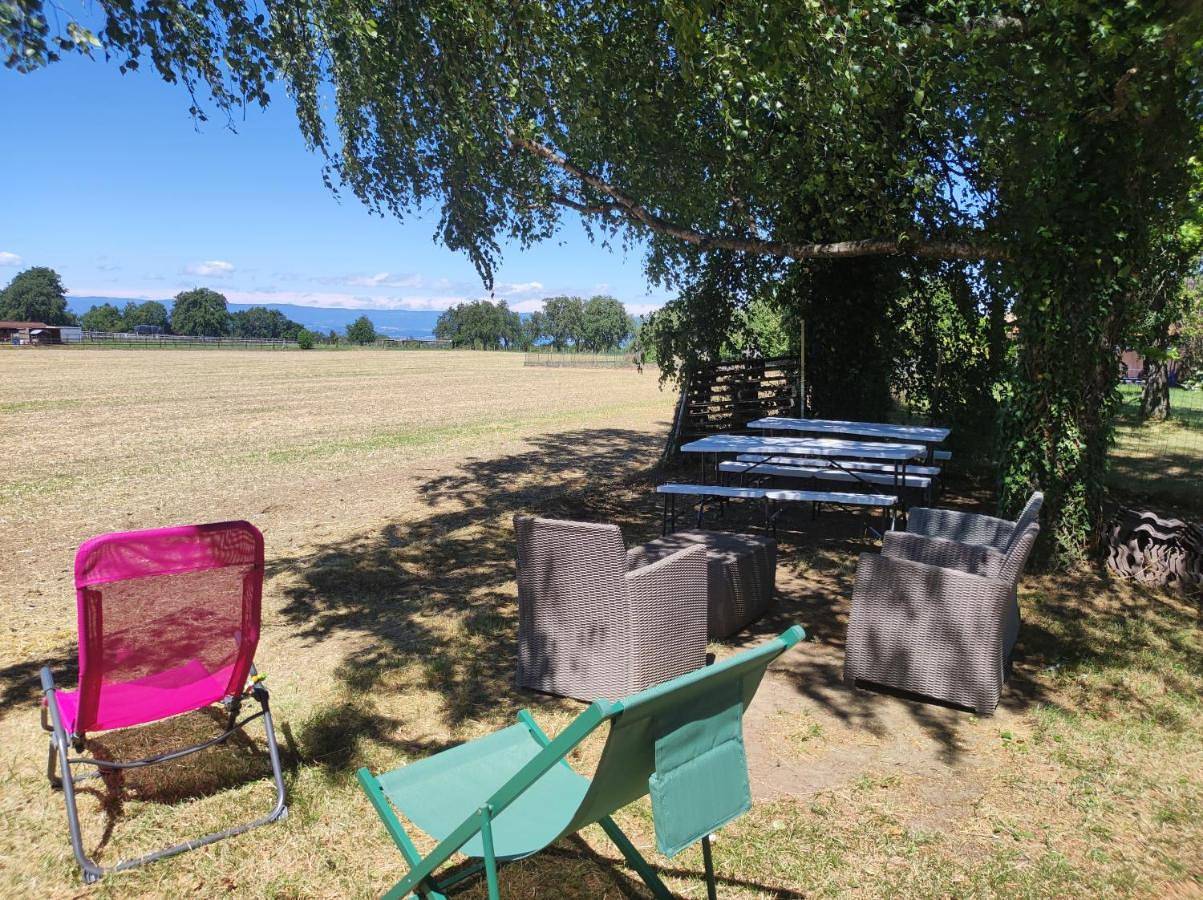Double Room with Garden View in Féternes, Région de Thonon-les-Bains